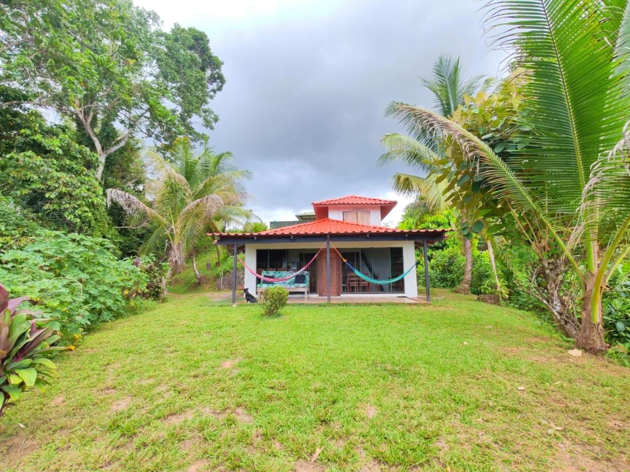 Corcovado Green Cabin & House Drake Bay Bagian luar foto