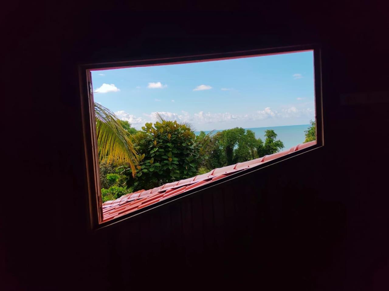 Corcovado Green Cabin & House Drake Bay Bagian luar foto