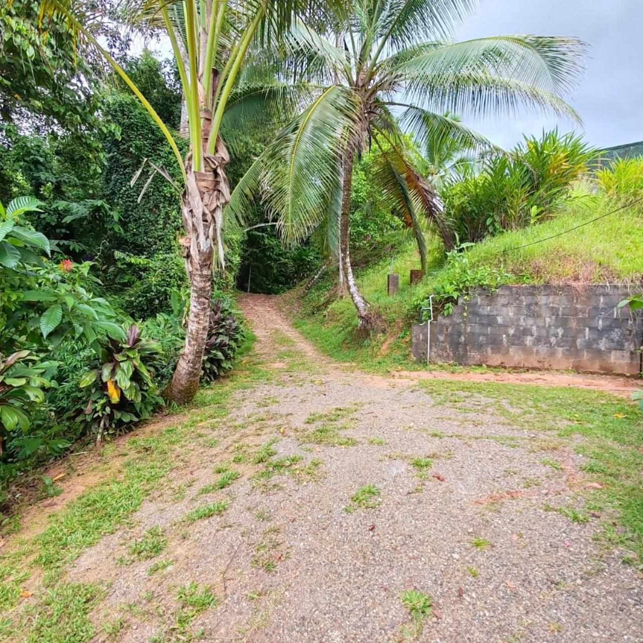 Corcovado Green Cabin & House Drake Bay Bagian luar foto